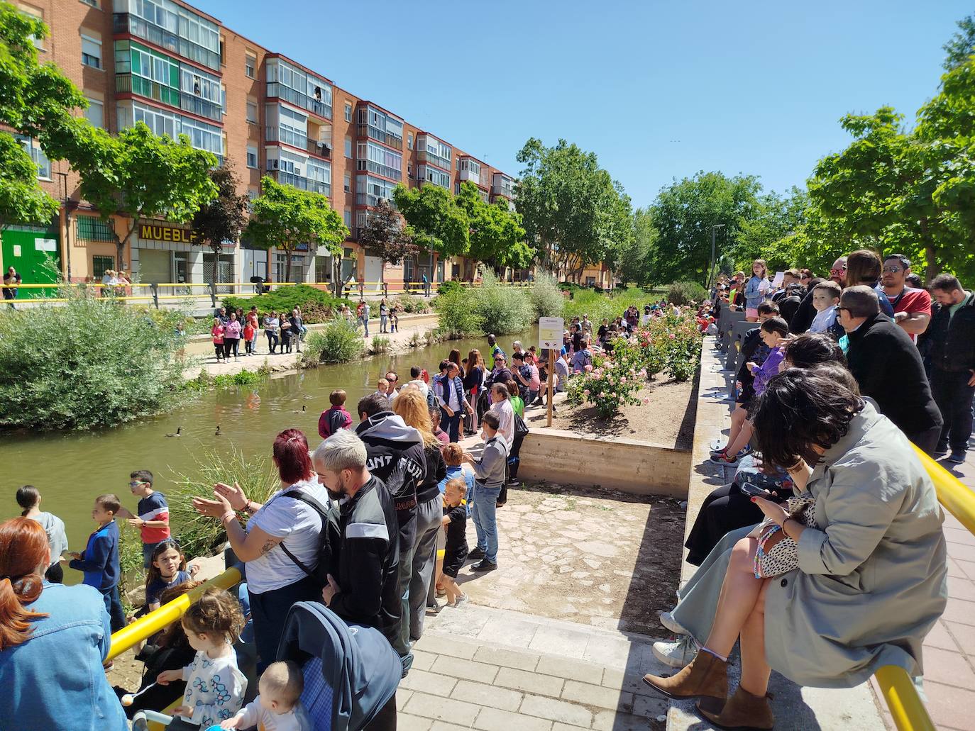 Carrera de patitos de goma solidarios en Valladolid