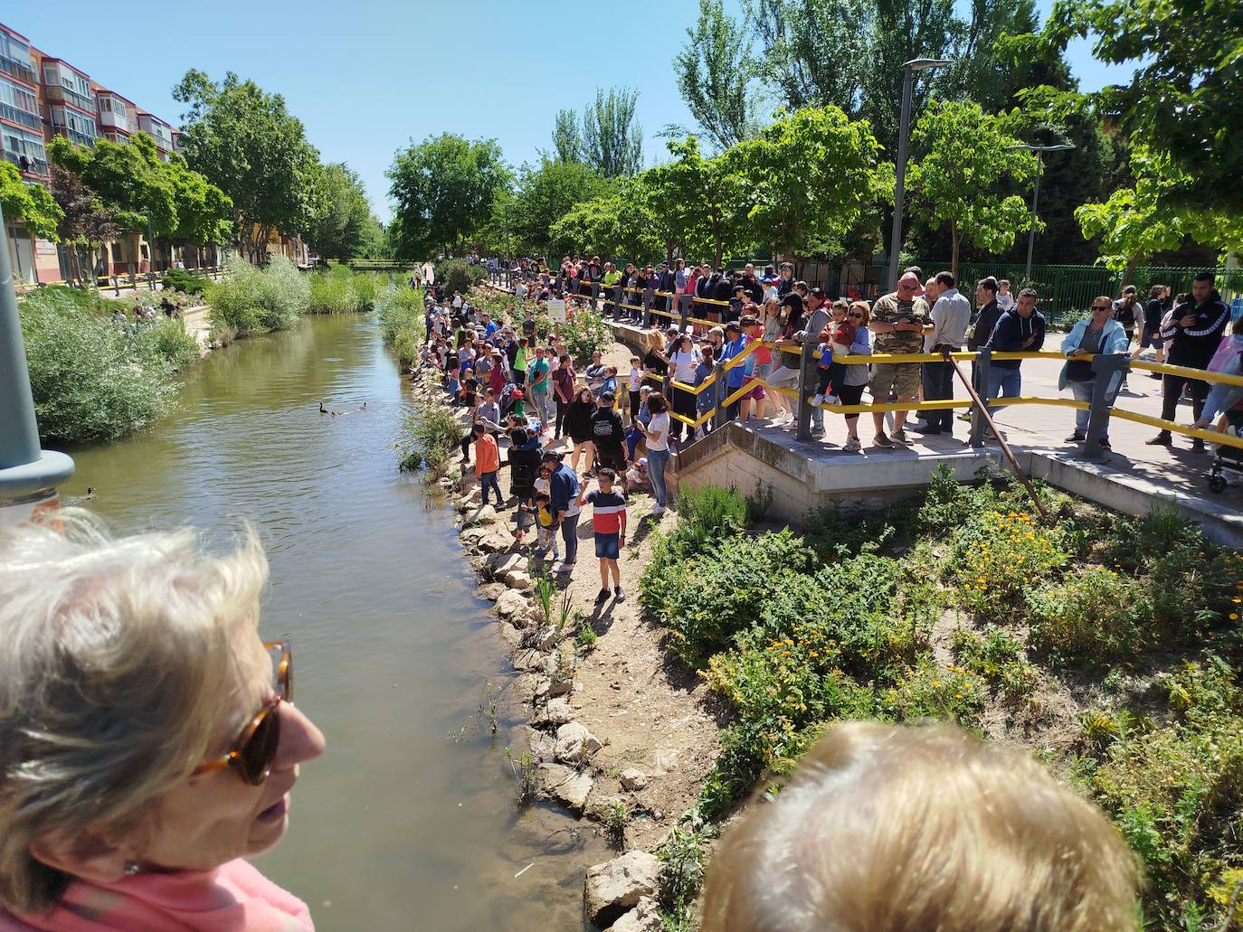 Carrera de patitos de goma solidarios en Valladolid