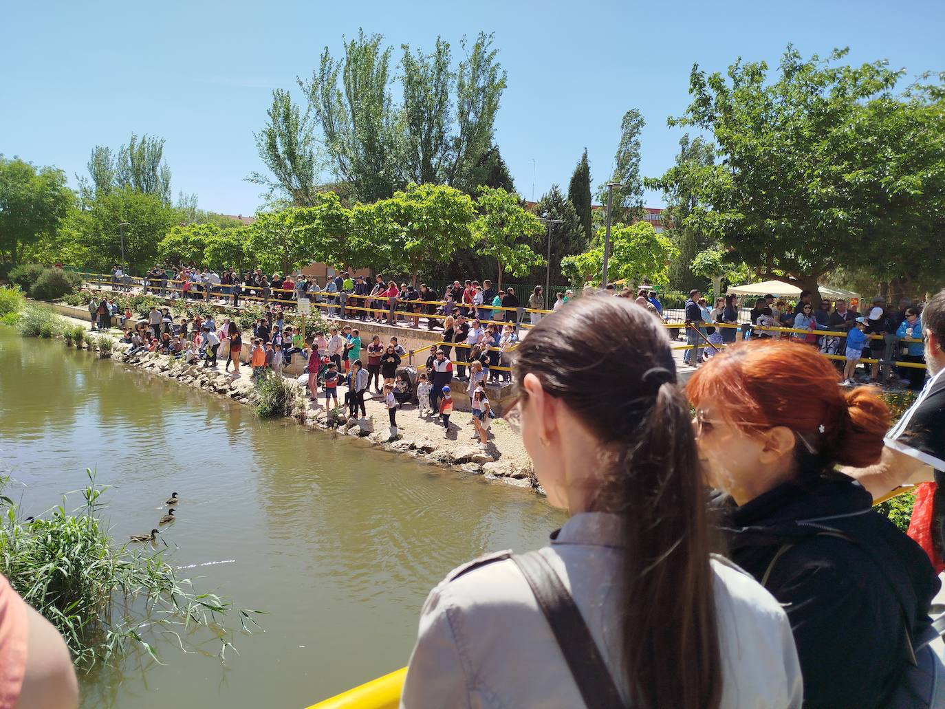 Carrera de patitos de goma solidarios en Valladolid