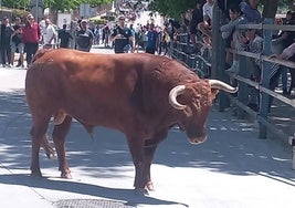 'Calderito', en las calles de Zaratán.