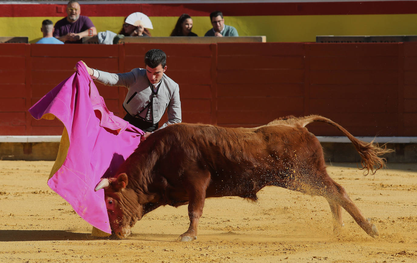 Novillada de la Escuela Taurina de Palencia por la Feria Chica