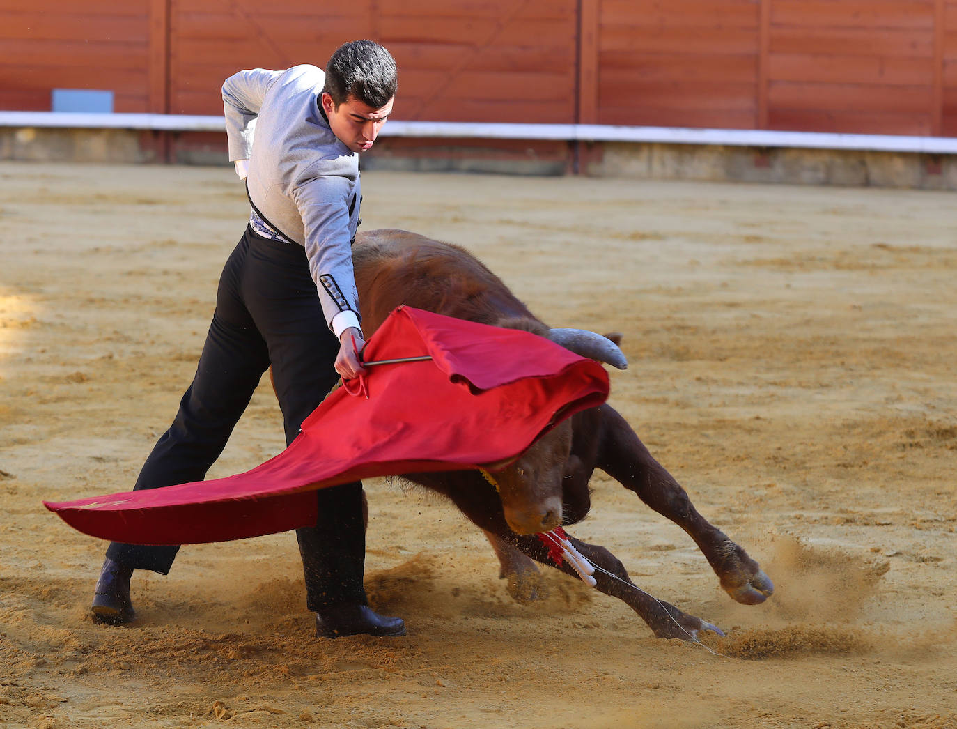 Novillada de la Escuela Taurina de Palencia por la Feria Chica