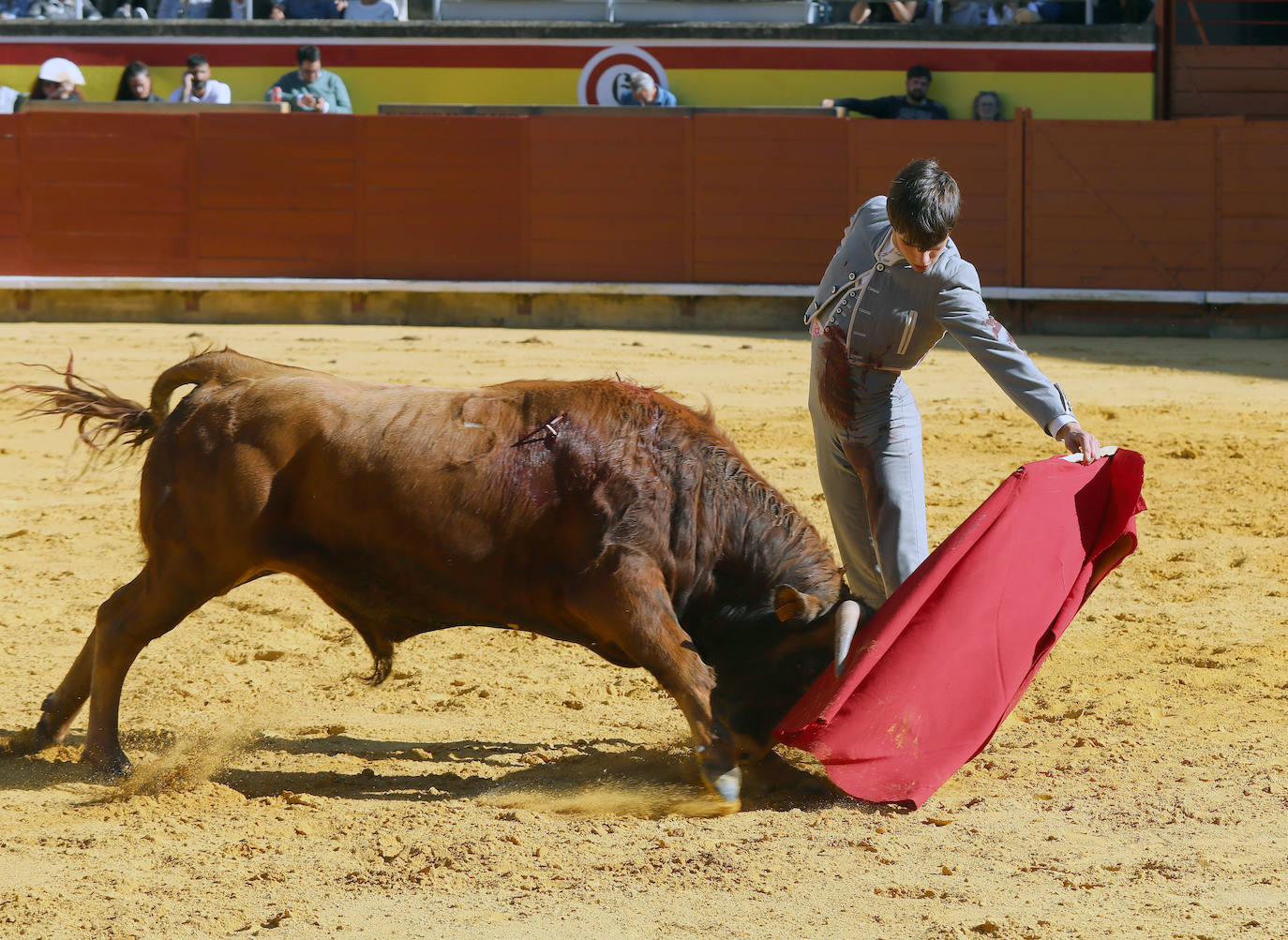 Novillada de la Escuela Taurina de Palencia por la Feria Chica