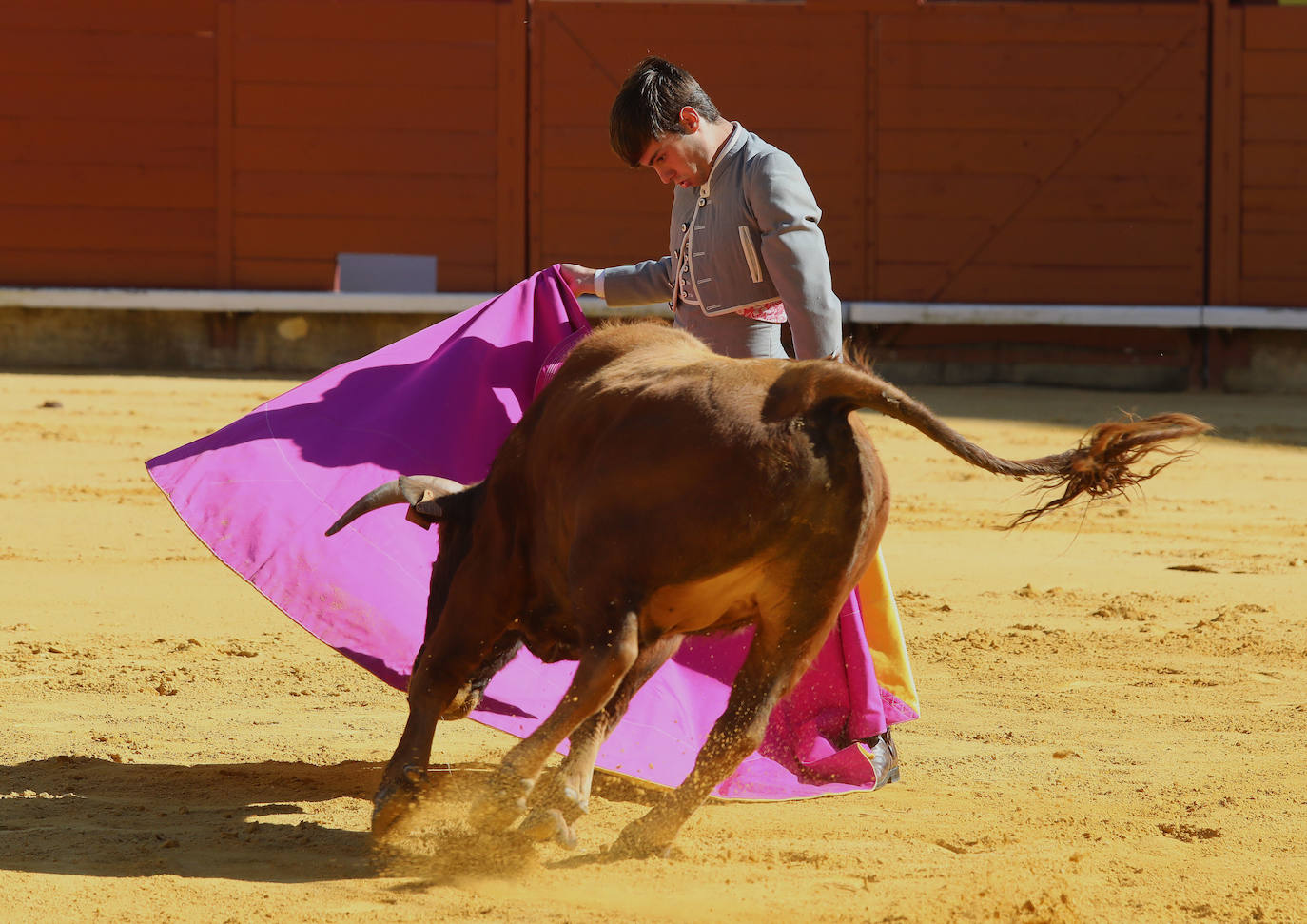 Novillada de la Escuela Taurina de Palencia por la Feria Chica