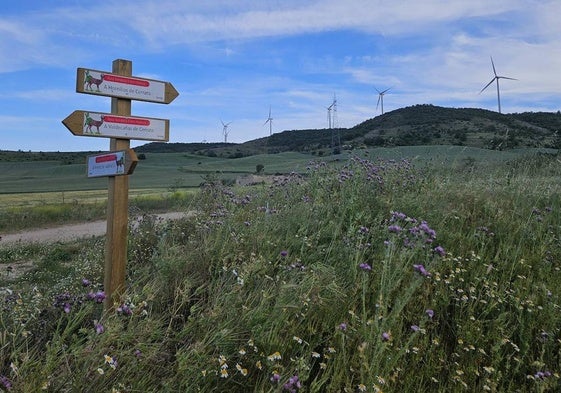 Intersección de caminos en la ruta 'Entre Molinos'.