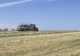 Un agricultor empaca forraje.