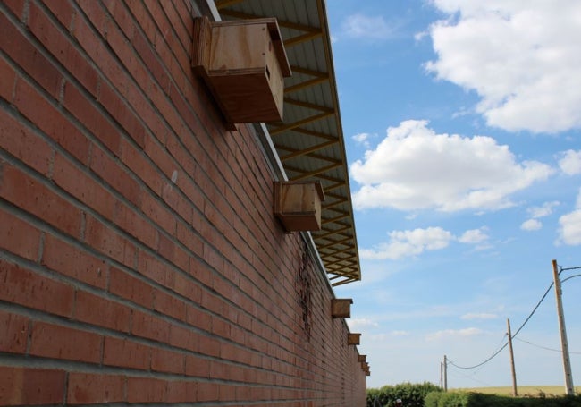Algunas de las cajas mixtas instaladas en Nava del Rey