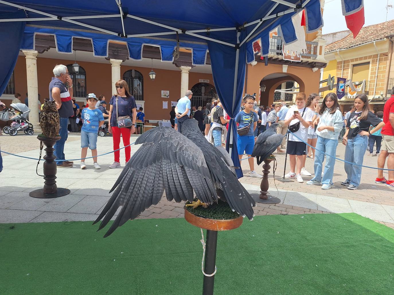 El Mercado Comarcal y Feria Agroalimentaria de Villalón, en imágenes