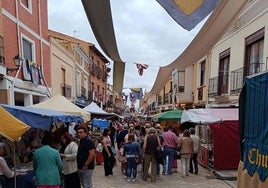 Visitantes al Mercado Comarcal de Villalón de Campos este fin de semana.