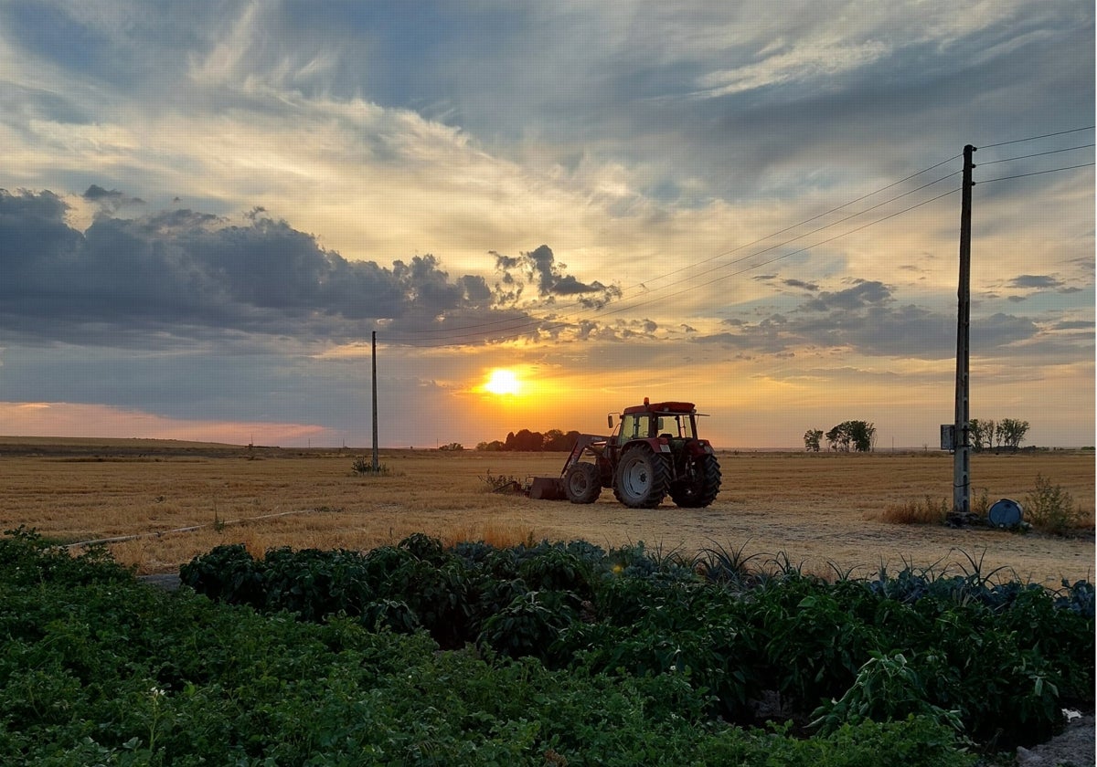 Agricultor de Langa, en plena tarea.