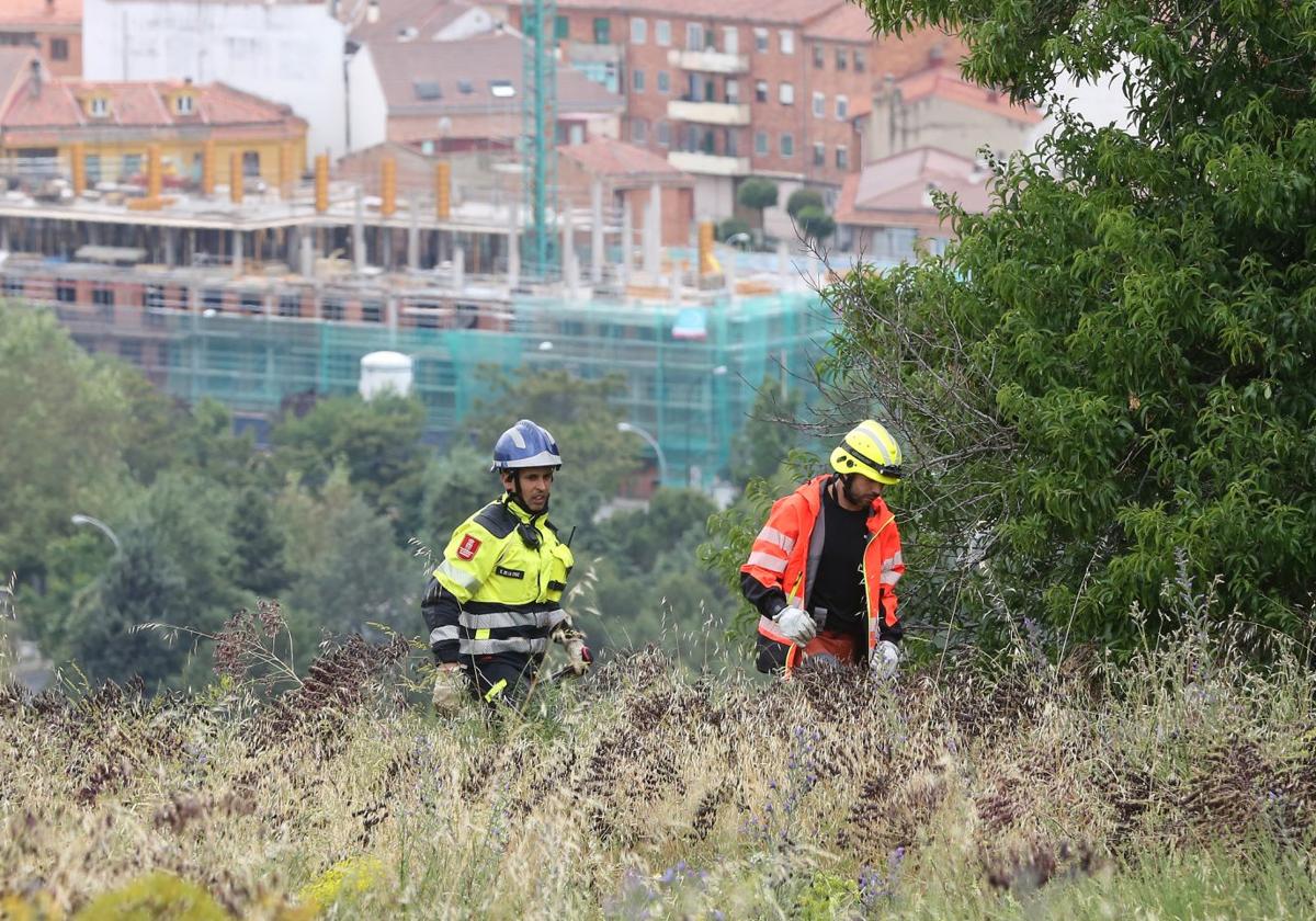 Dos integrantes de los equipos de búsqueda realizan una batida en el entorno del Parador de Segovia.