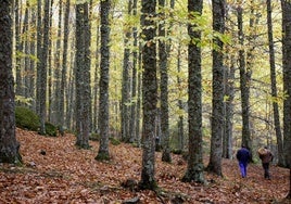 Naturaleza y turismo se dan la mano en El Tiemblo.