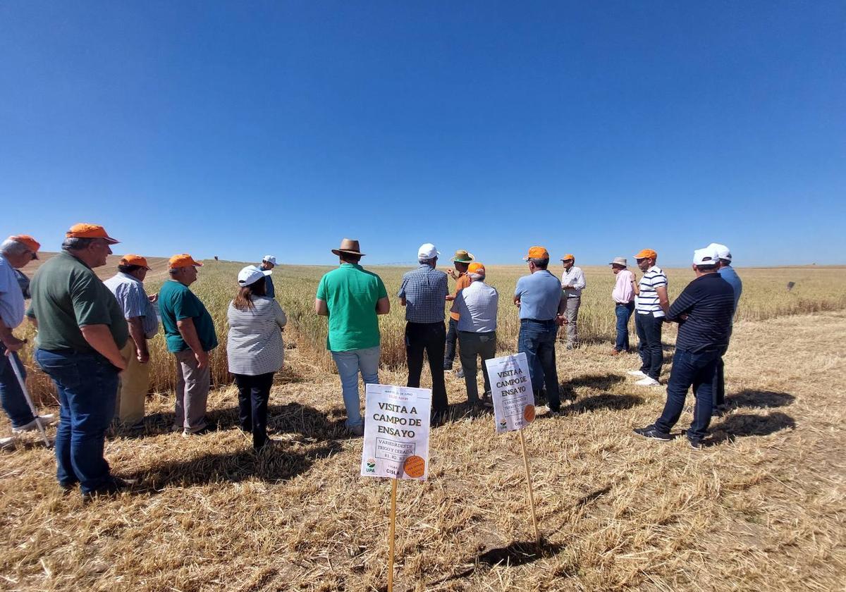 Agricultores de La Moraña durante su visita a los campos de ensayo de Cisla.