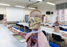 Un aula de la facultad de Medicina de la Universidad de Valladolid, en una imagen de archivo.