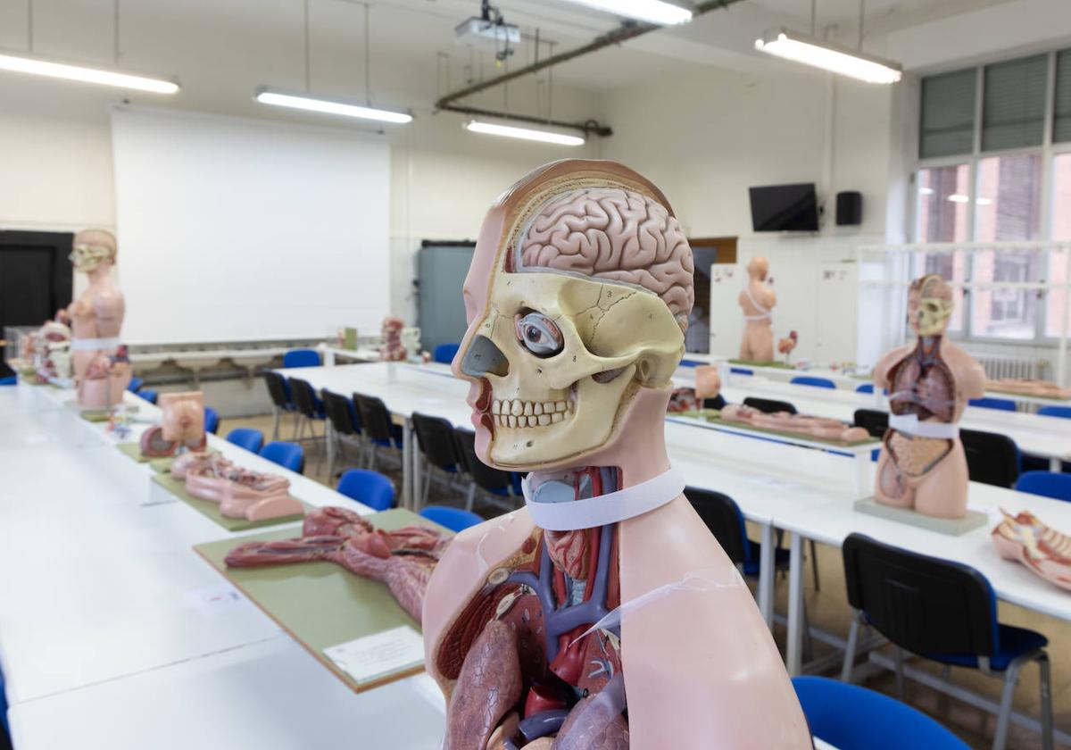 Un aula de la facultad de Medicina de la Universidad de Valladolid, en una imagen de archivo.