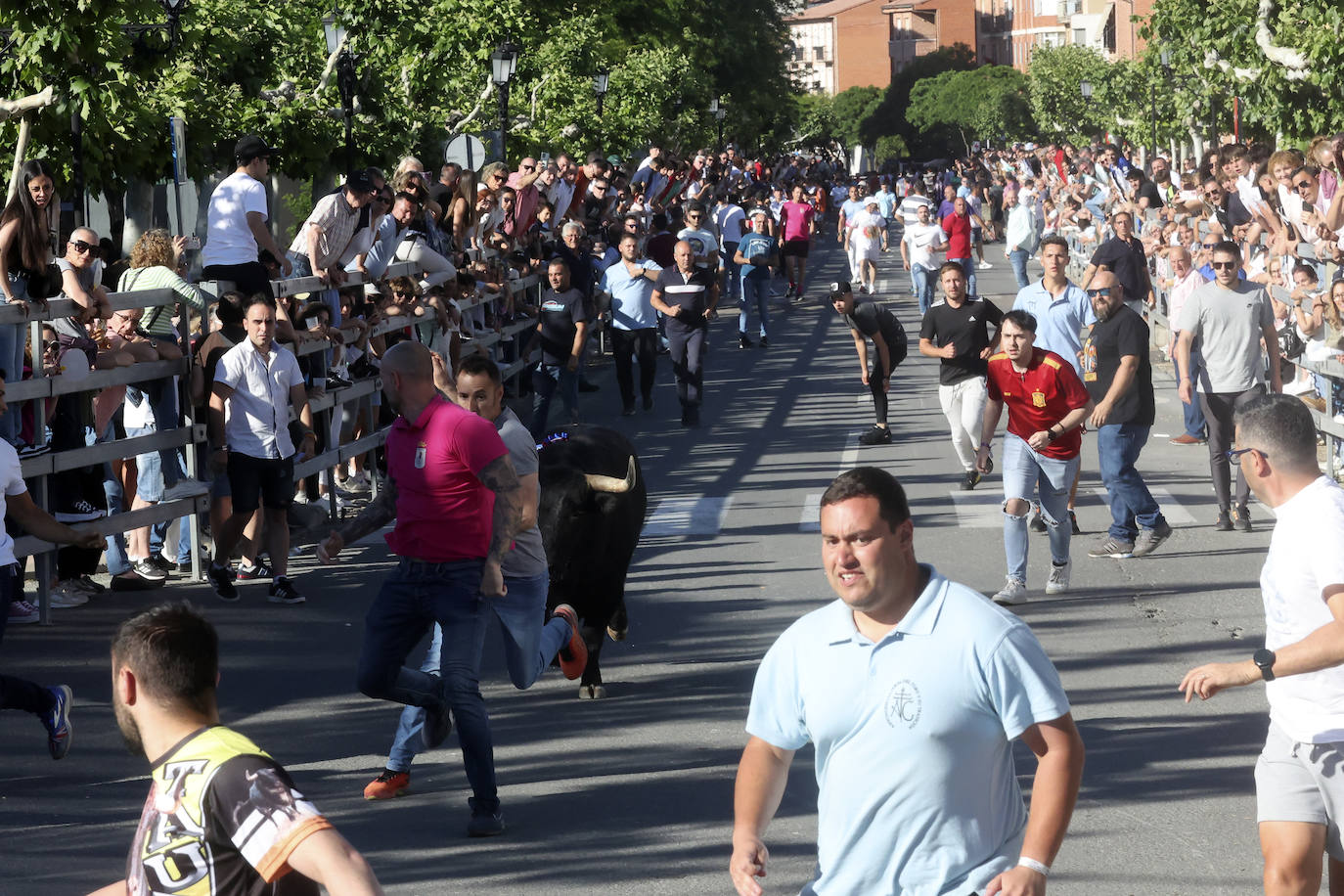 El álbum con los lances del Toro de la Feria de Medina del Campo