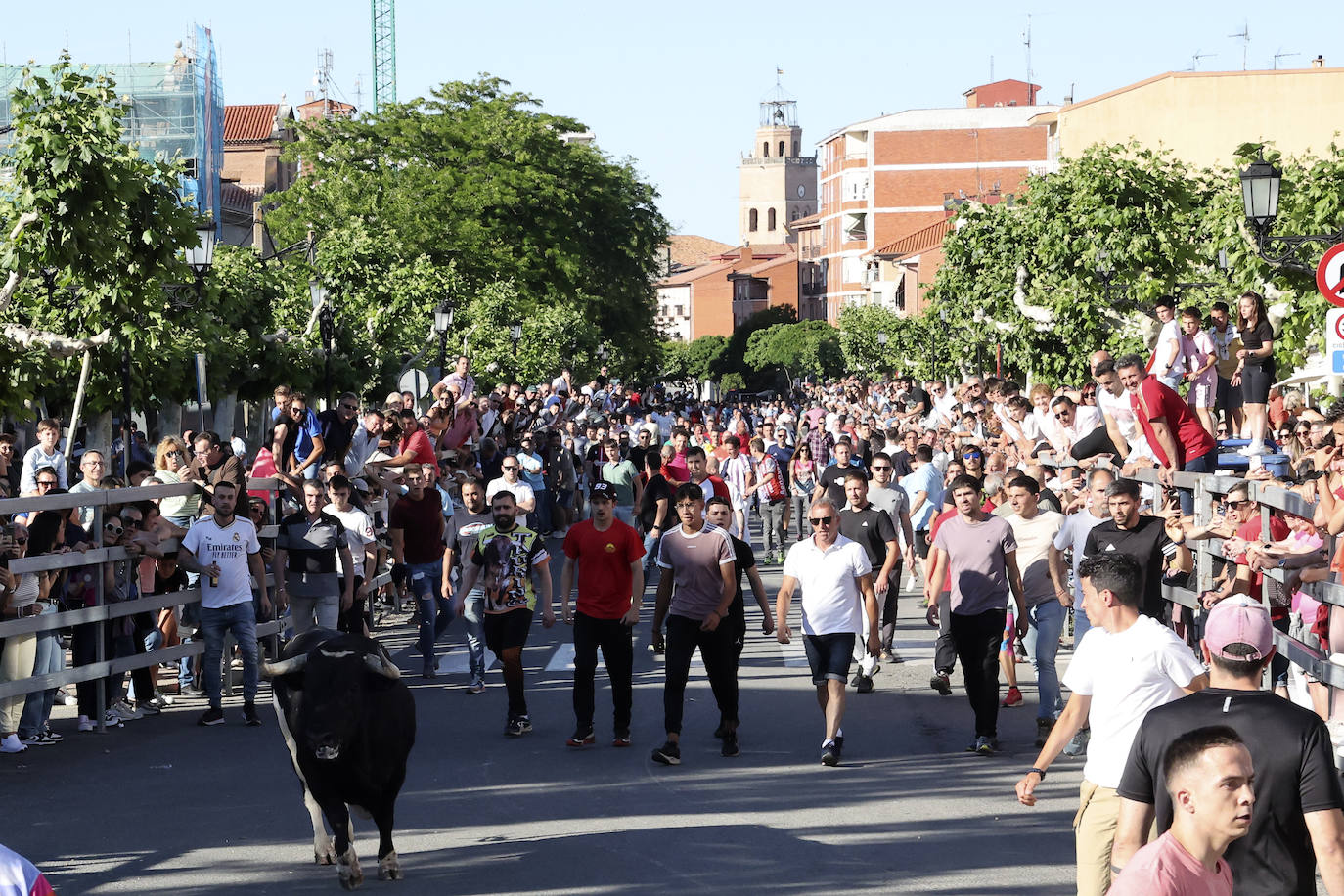 El álbum con los lances del Toro de la Feria de Medina del Campo