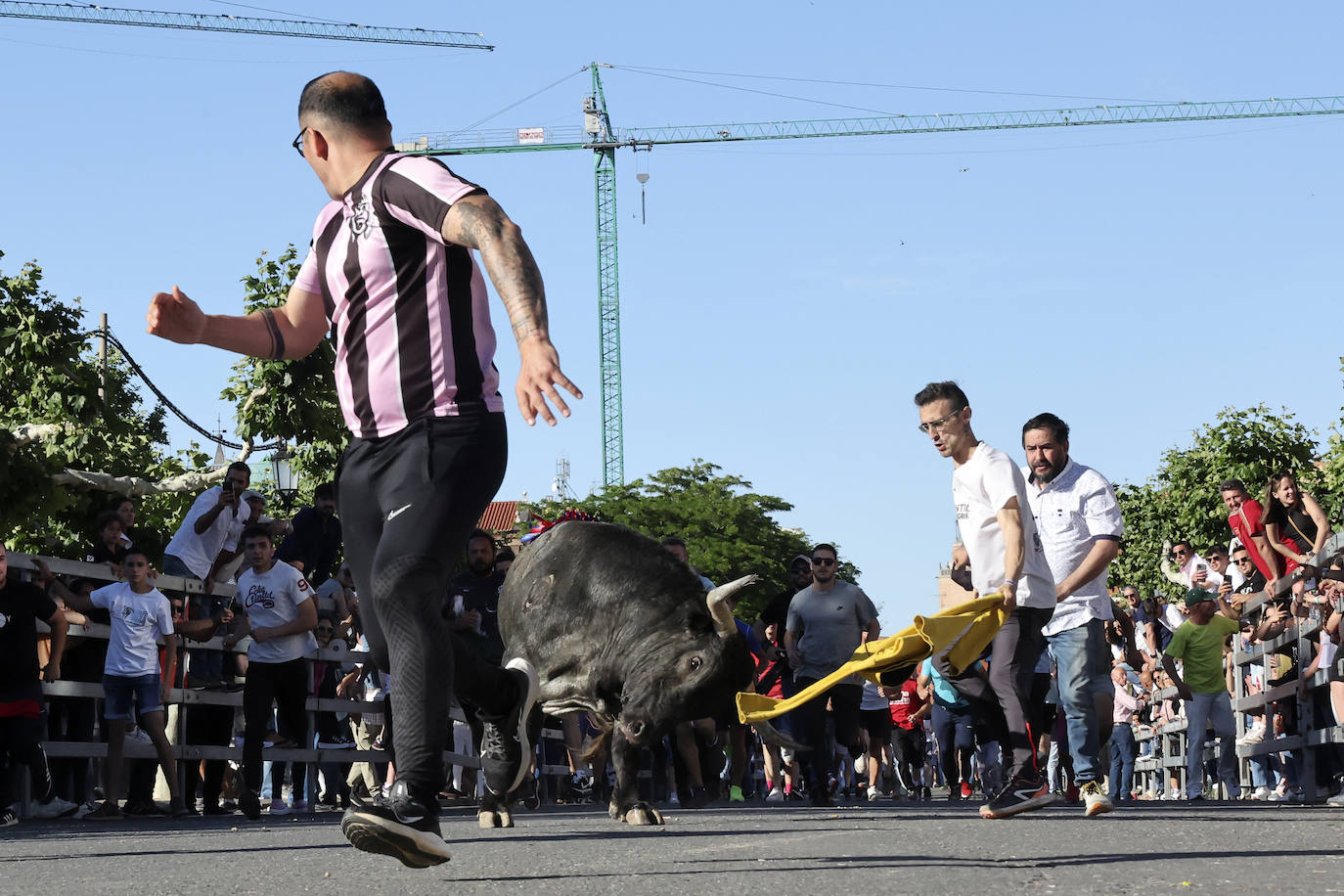 El álbum con los lances del Toro de la Feria de Medina del Campo