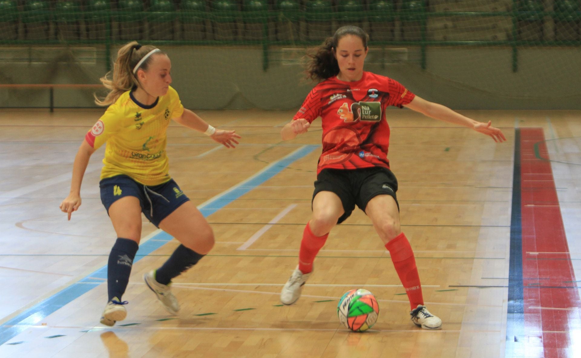 Fotografías del partido entre el Segosala Naturpellet y el Teldeportivo