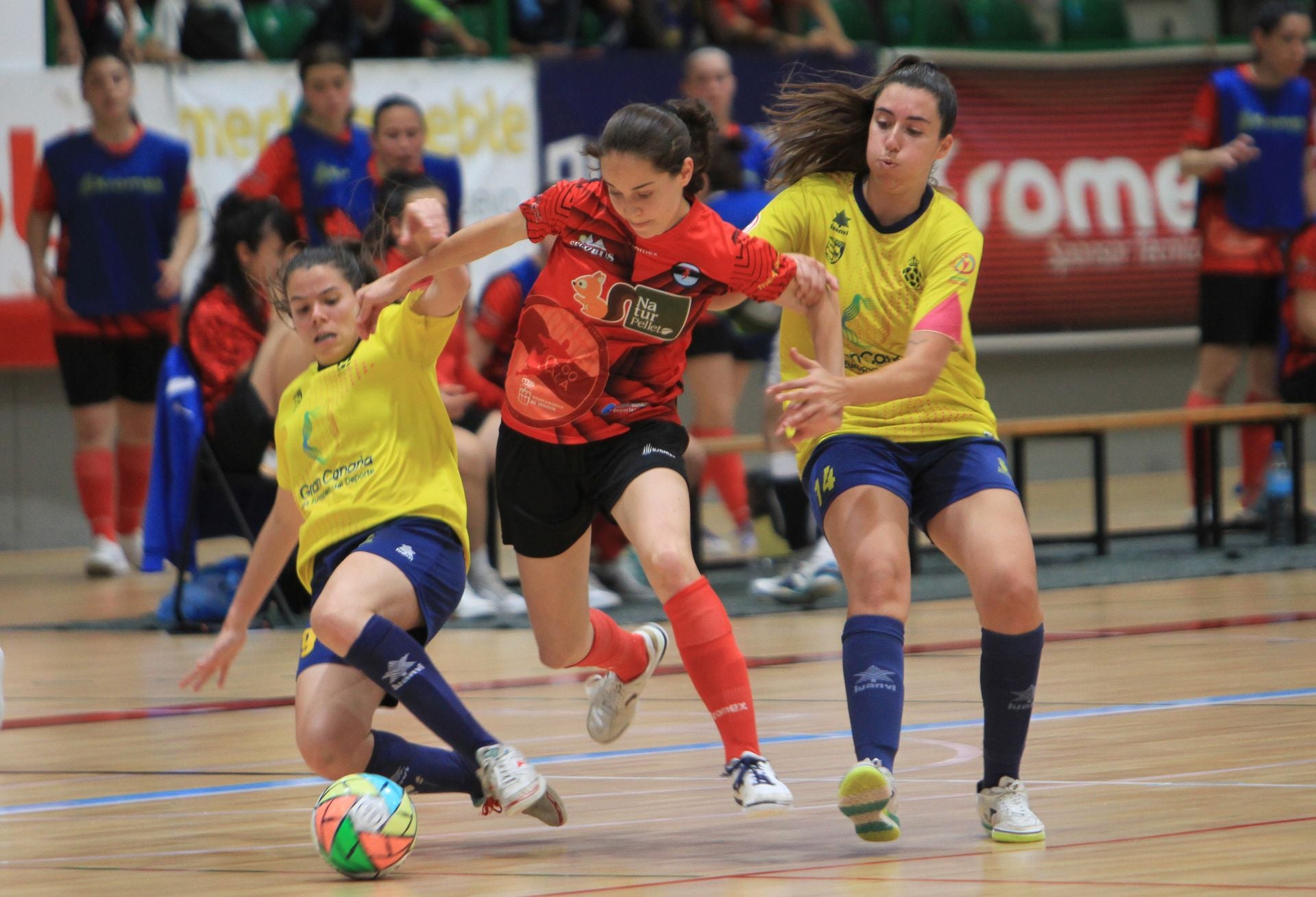 Fotografías del partido entre el Segosala Naturpellet y el Teldeportivo