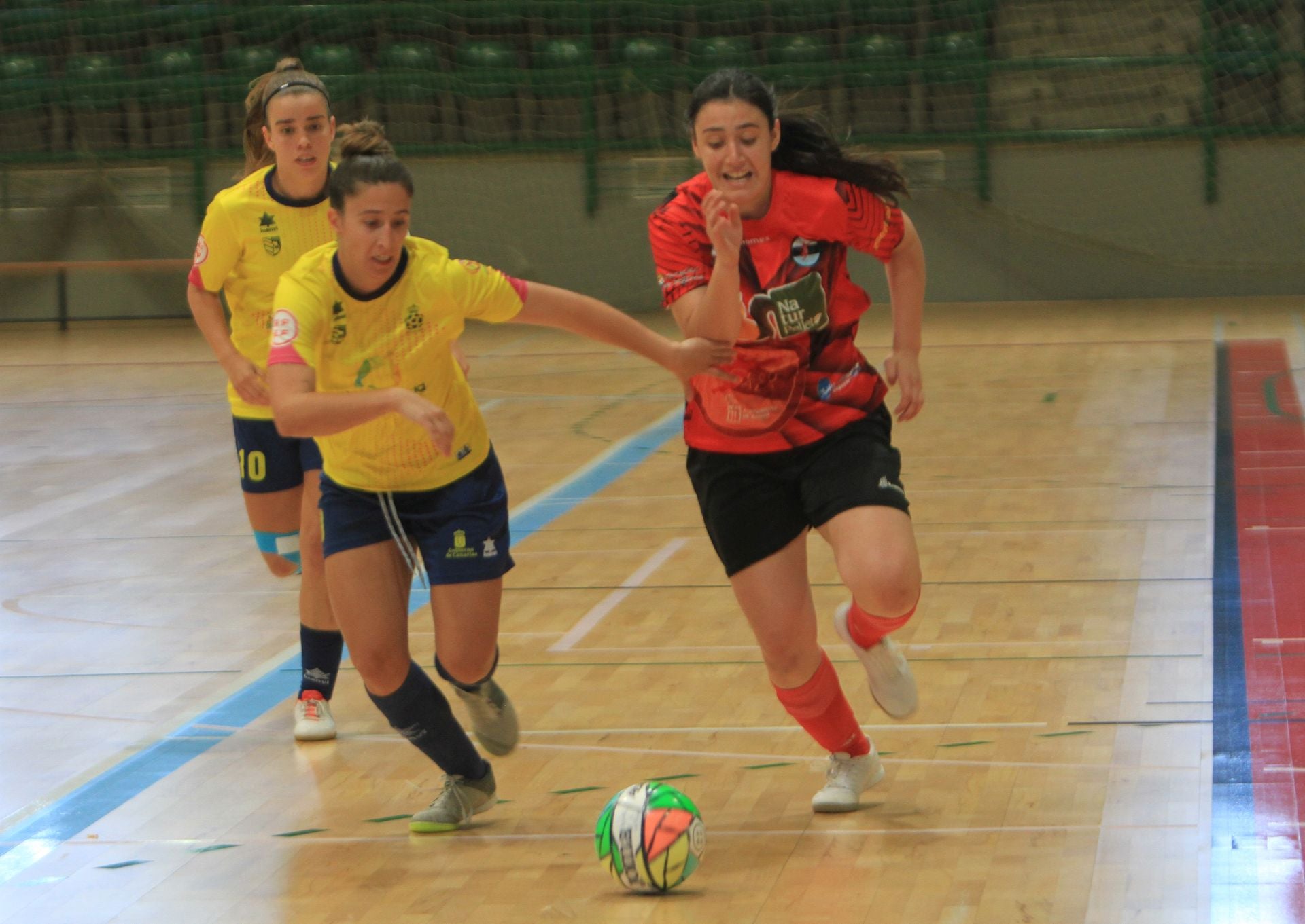 Fotografías del partido entre el Segosala Naturpellet y el Teldeportivo