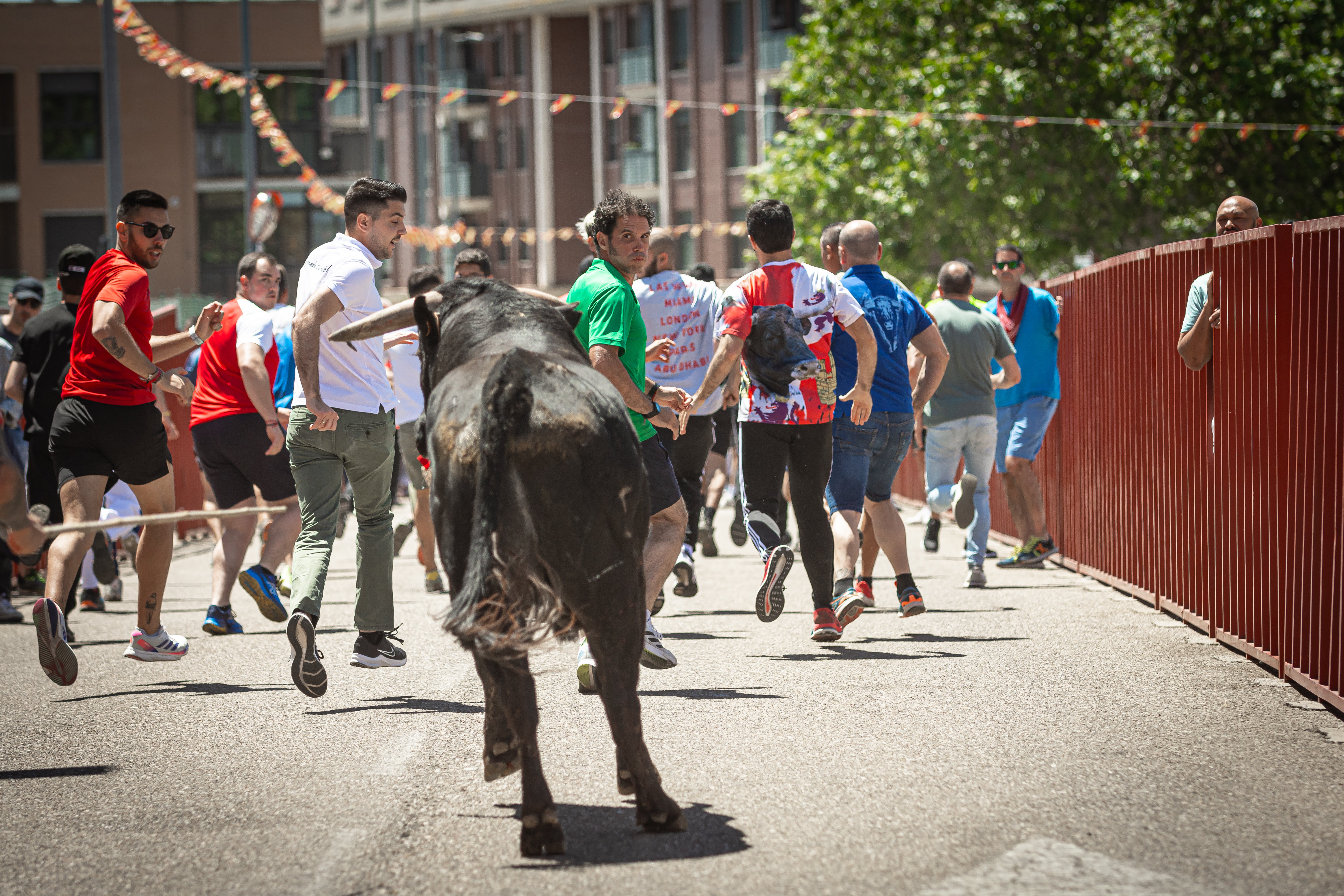 Un momento del encierro matutino de Arroyo.