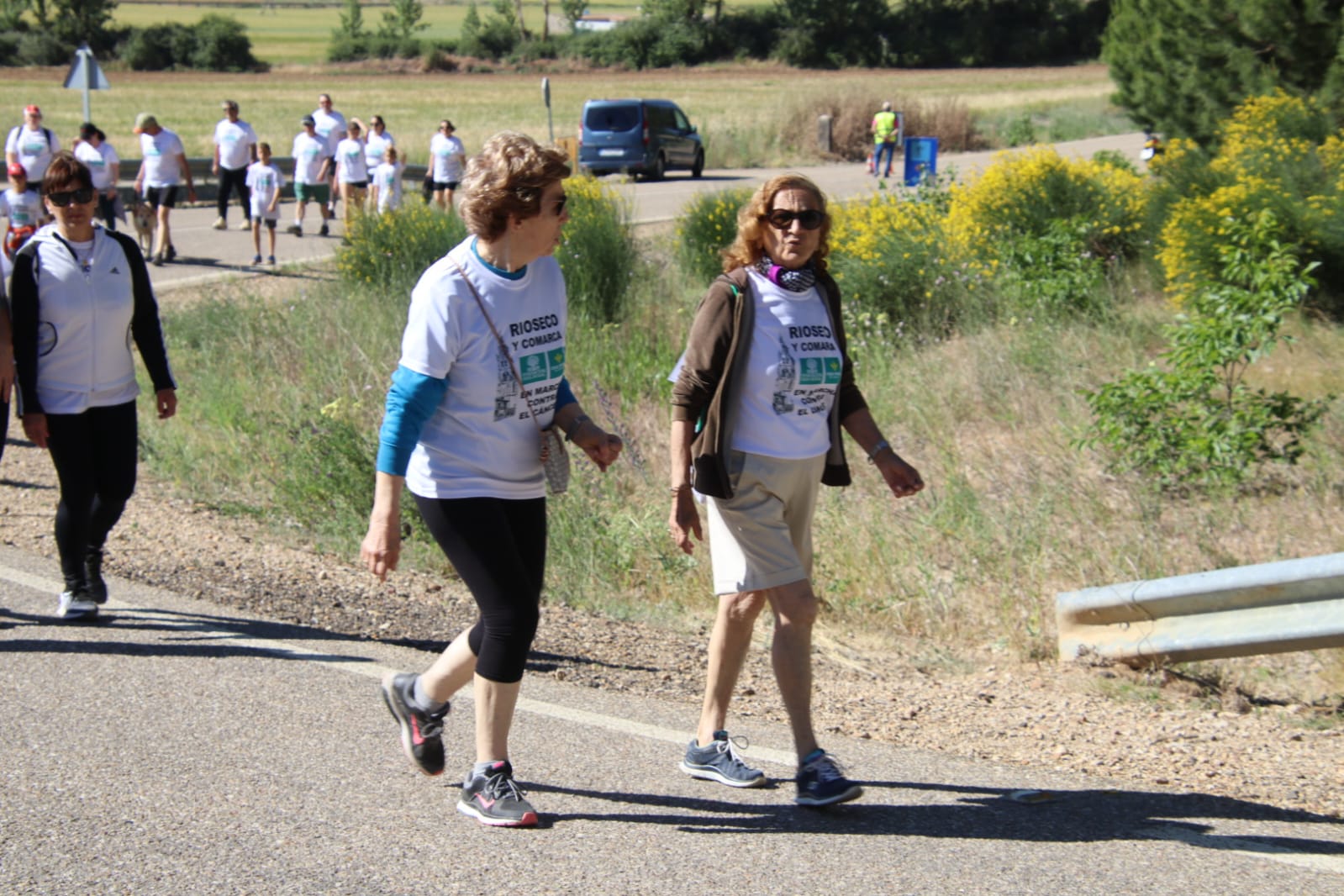 La octava marcha contra el cáncer de Rioseco, en imágenes