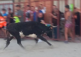 Un momento del encierro de Villanueva.