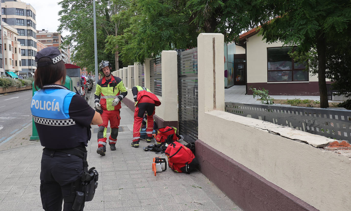 Otro susto con los árboles de Modesto Lafuente