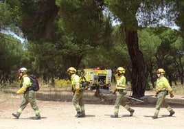 Una cuadrilla terrestre, durante el simulacro de incendio forestal realizado este lunes en el Pinar de Antequera.