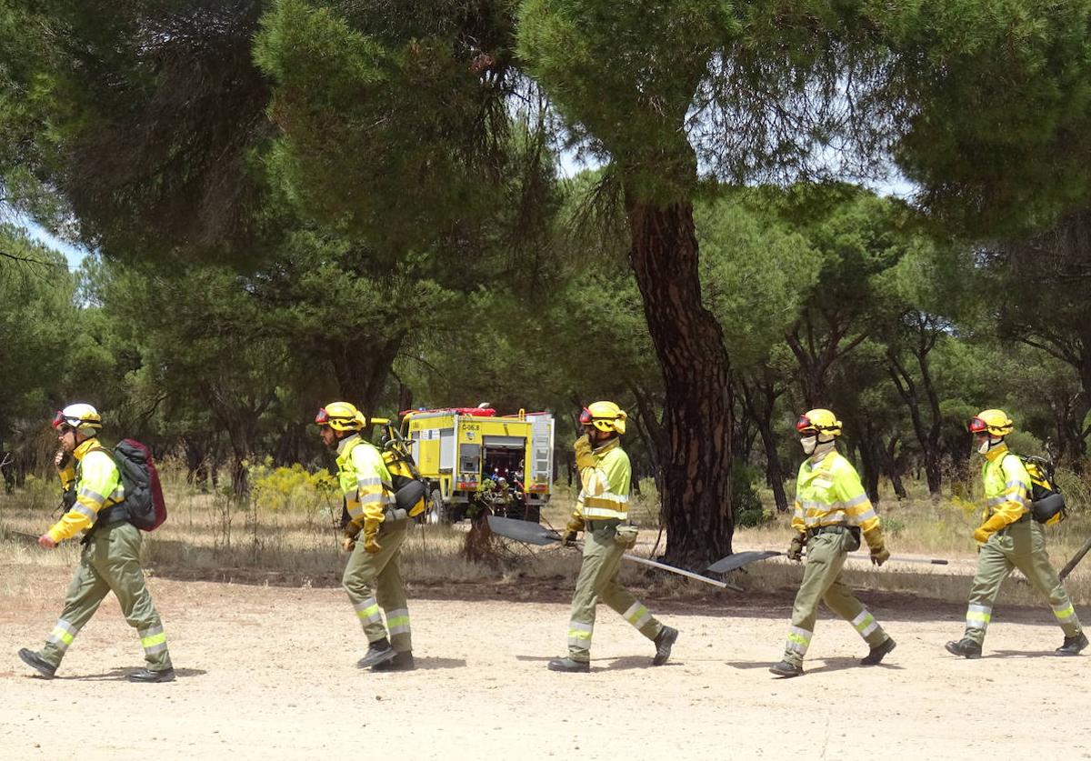 Una cuadrilla terrestre, durante el simulacro de incendio forestal realizado este lunes en el Pinar de Antequera.