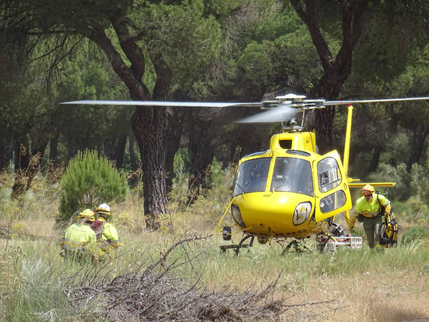 Las imágenes del simulacro de incendio forestal en el Pinar de Antequera