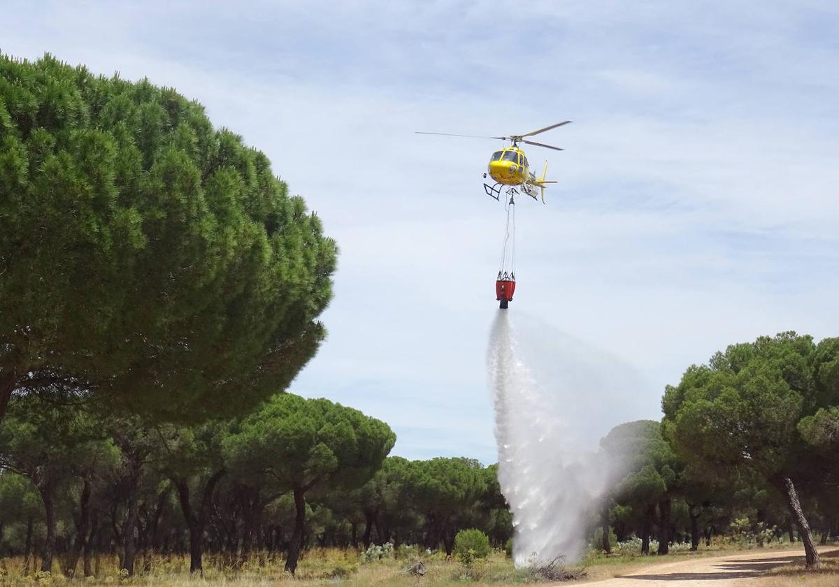 Las imágenes del simulacro de incendio forestal en el Pinar de Antequera