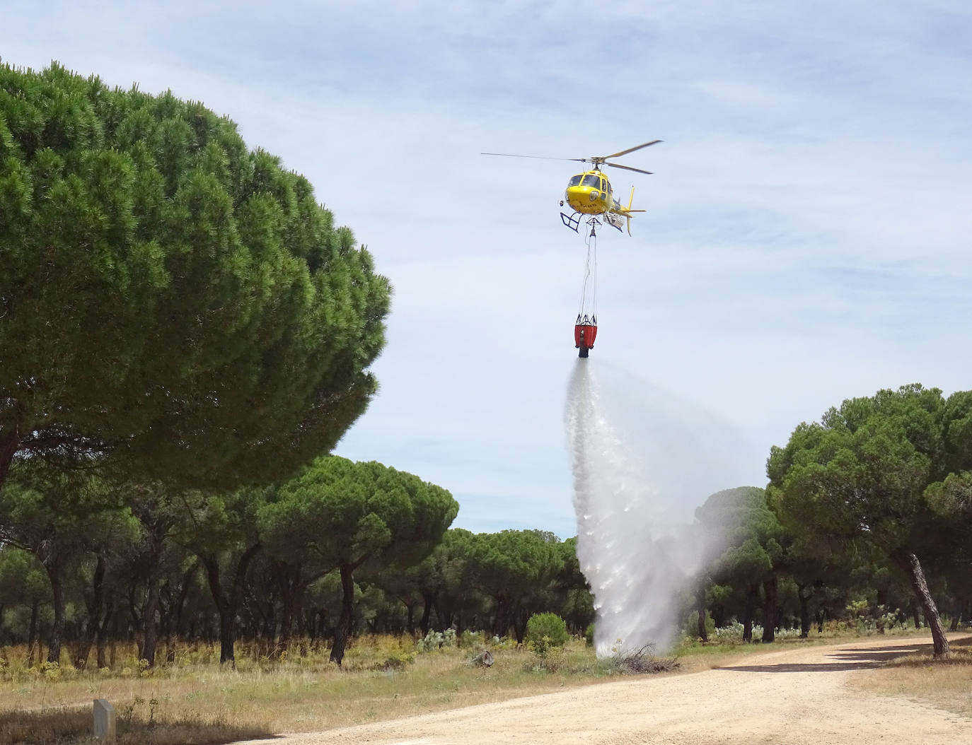 Las imágenes del simulacro de incendio forestal en el Pinar de Antequera