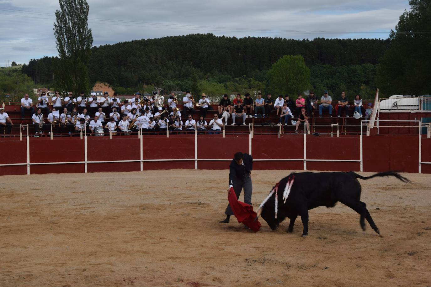 Tarde de toros en las fiestas de Guardo