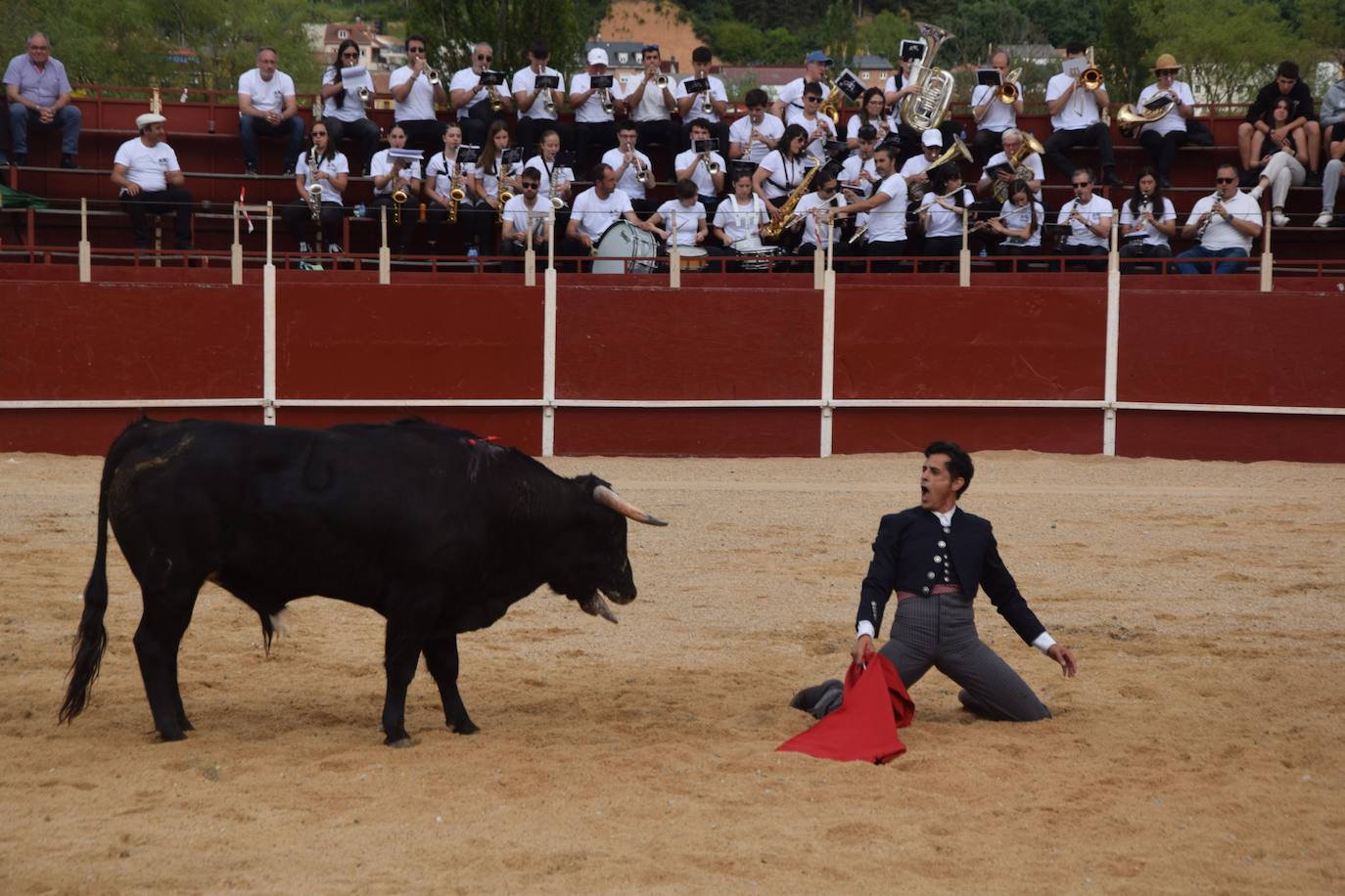 Tarde de toros en las fiestas de Guardo