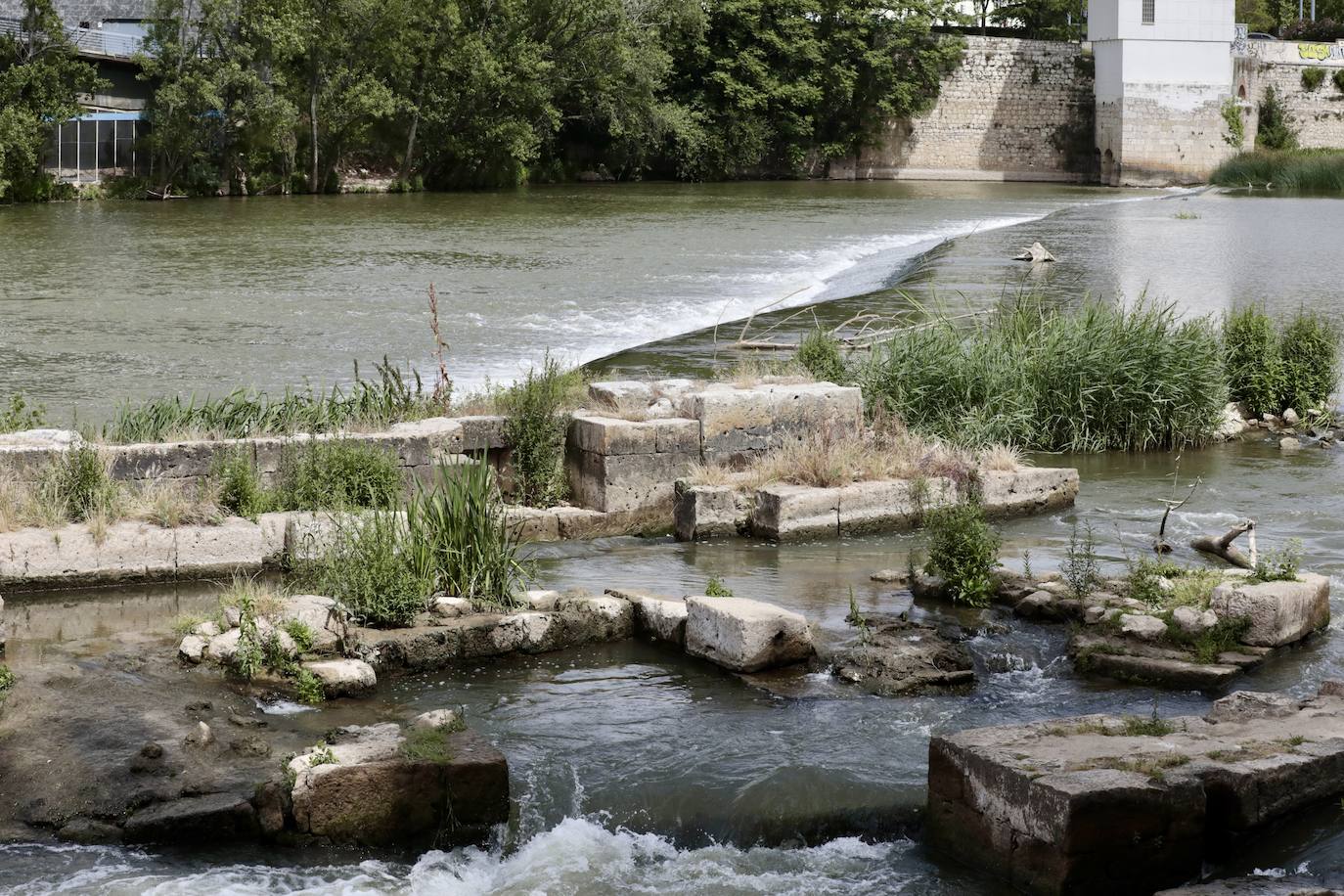 Las imágenes del paseo de Isabel la Católica de Valladolid