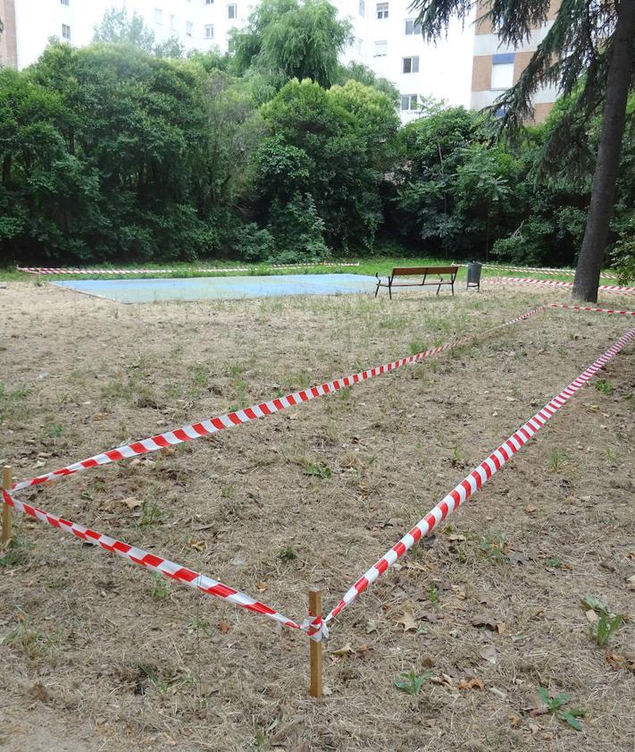 Imagen secundaria 2 - Arriba, segunda cata en los jardines del antiguo Río Hortega. Debajo, a la izquierda, cascotes y restos de ladrillos encontrados en este punto. A la derecha, parterre perimetrado en los jardines.