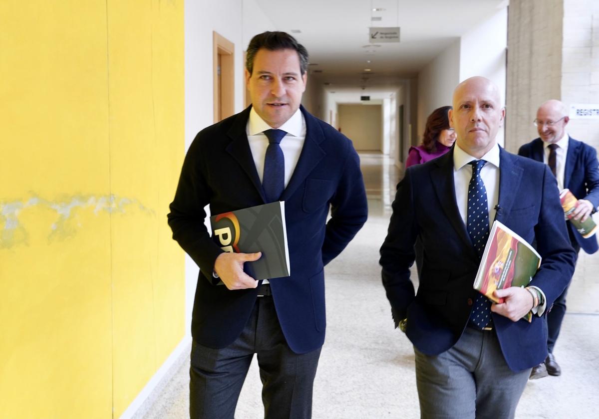 Raúl de la Hoz (PP) y Carlos Menéndez (Vox), en las Cortes el pasado 26 de marzo, cuando registraron la proposición de ley de concordia.