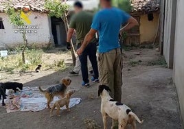 Agentes de la Guardia Civil durante la operación.