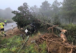 Estado en el que quedó el todoterreno tras salirse de la carretera y chocar contra un árbol en Las Navas del Marqués, este martes.