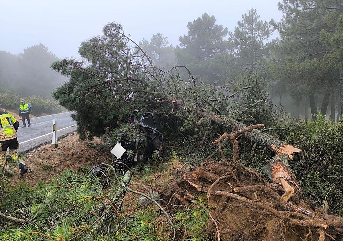 Estado en el que quedó el todoterreno tras salirse de la carretera y chocar contra un árbol en Las Navas del Marqués, este martes.