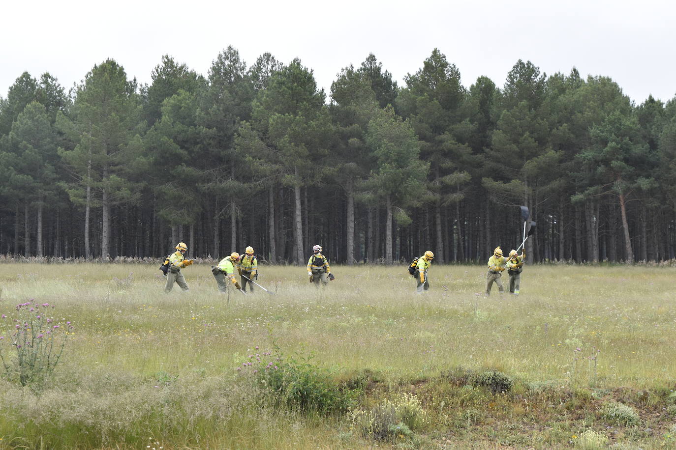 Así es el dispositivo contra incendios en la época de peligro alto