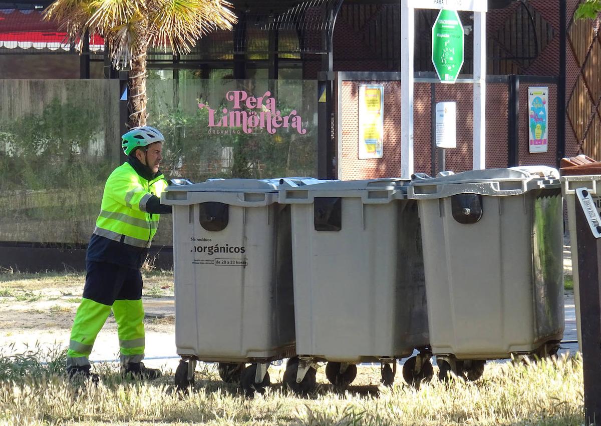 Imagen secundaria 1 - Arriba, hilera de contenedores en la chopera de Las Moreras. Debajo, a la izquierda, un operario coloca contenedores en la entrada a la playa. A la derecha, un trabajador despeja el paseo de Marcelino Martín El Catarro.