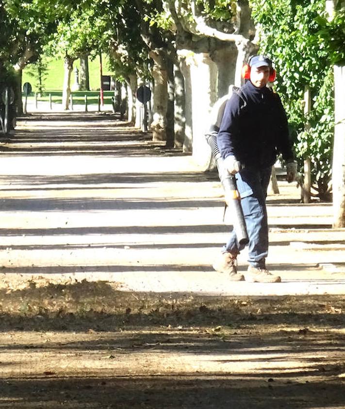 Imagen secundaria 2 - Arriba, hilera de contenedores en la chopera de Las Moreras. Debajo, a la izquierda, un operario coloca contenedores en la entrada a la playa. A la derecha, un trabajador despeja el paseo de Marcelino Martín El Catarro.