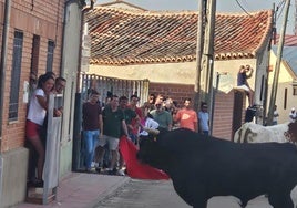 Entretenida tarde en Fresno el Viejo con dos toros de Juan Carlos Cañero