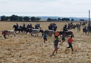 Aparatosa cogida a un caballista durante los espantes taurinos de Guarrate