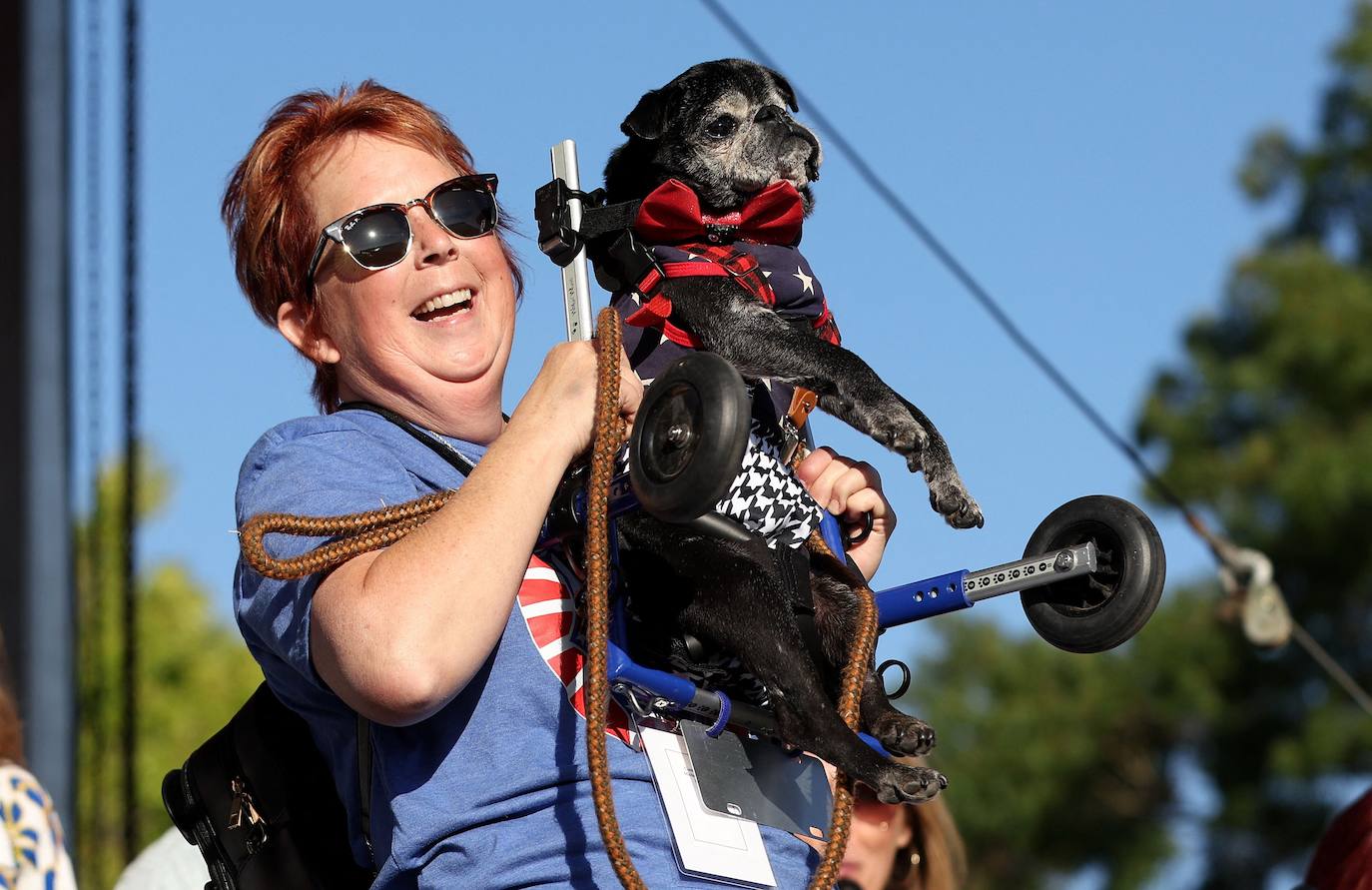 Las imágenes del concurso de los perros más feos celebrado en Petaluma, California