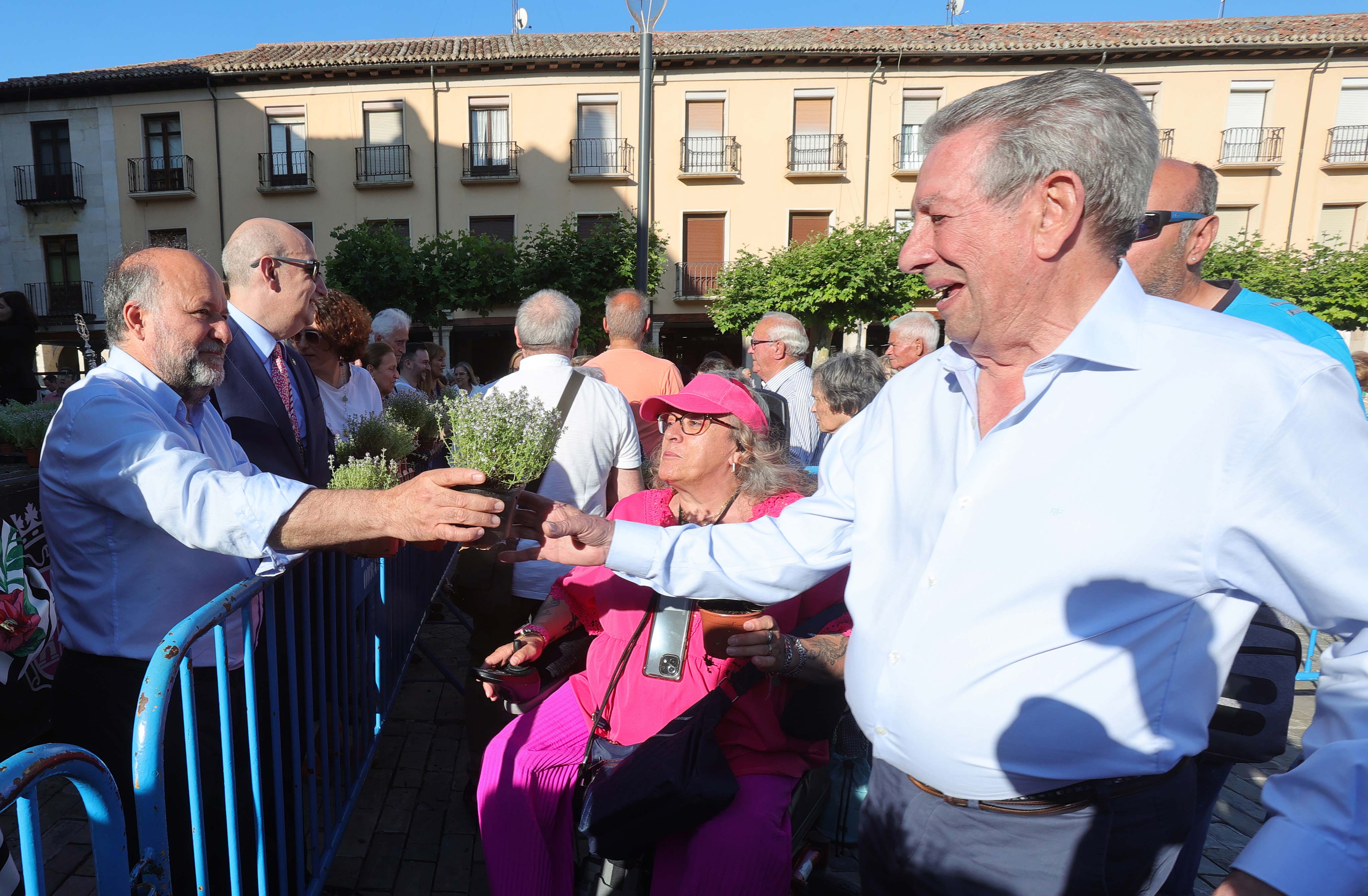 Celebración de San Juan en Palencia