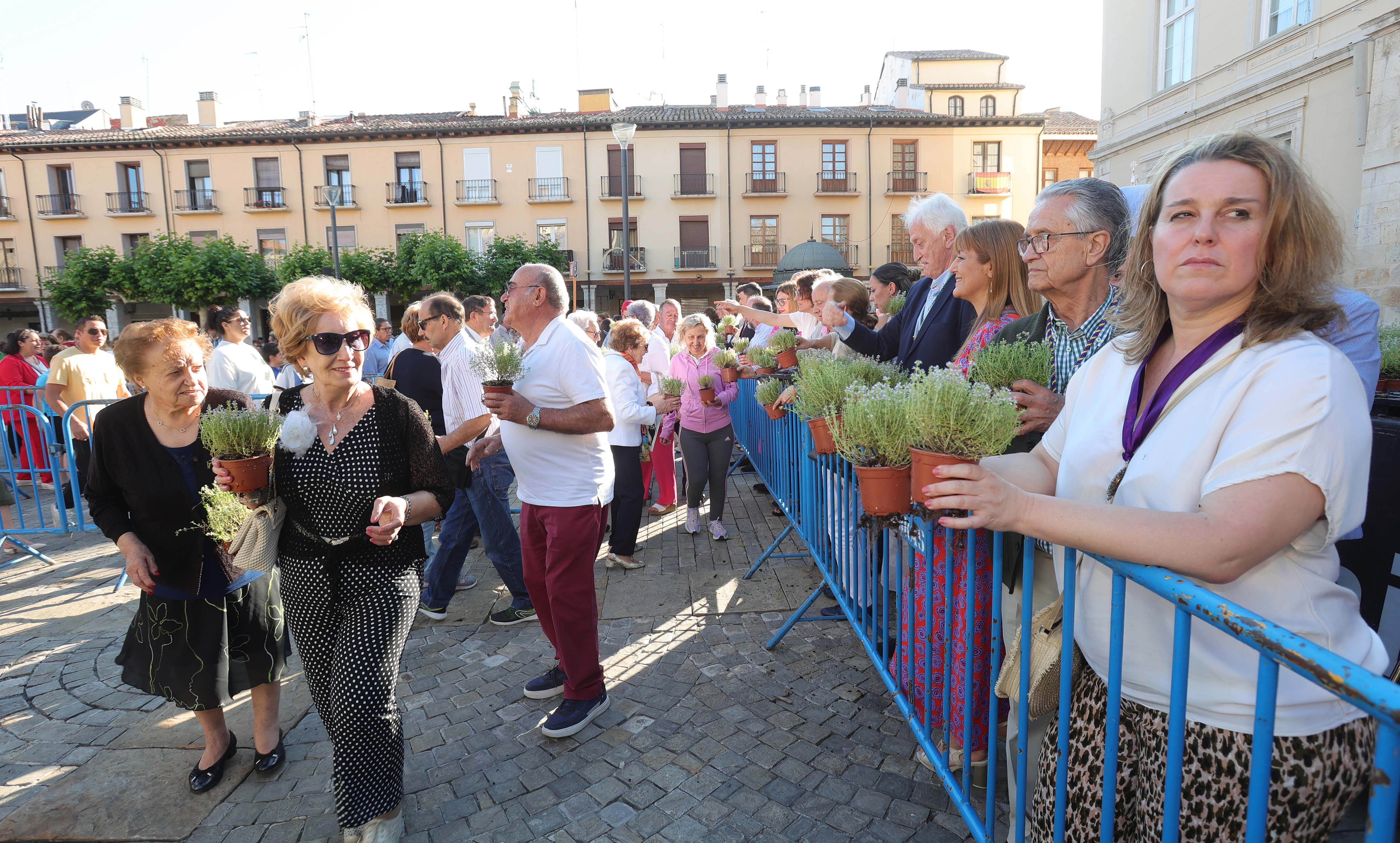 Celebración de San Juan en Palencia